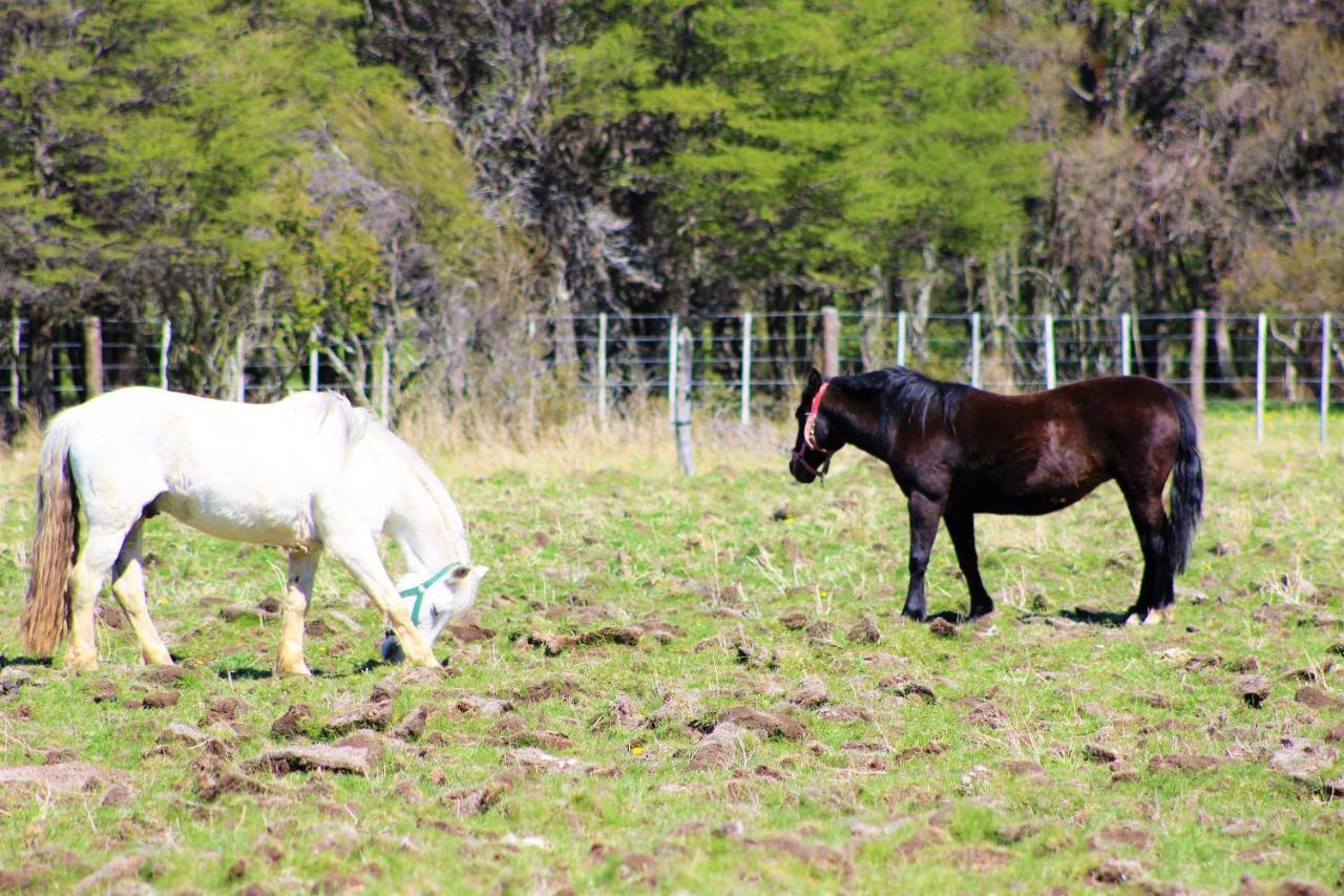 Glamping Patagonia Nativa Rural Hotel Coyhaique Exterior foto